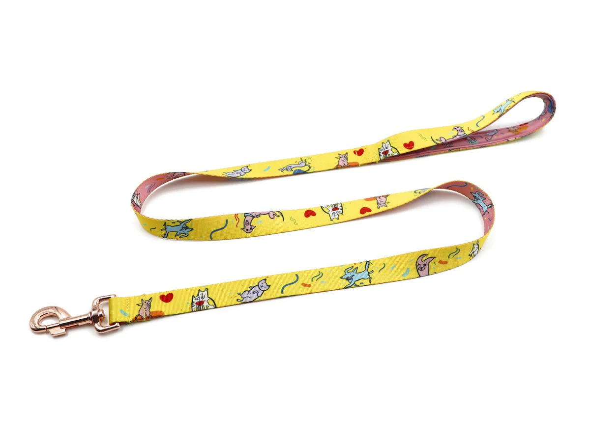 Hundeleine mit Aufdruck