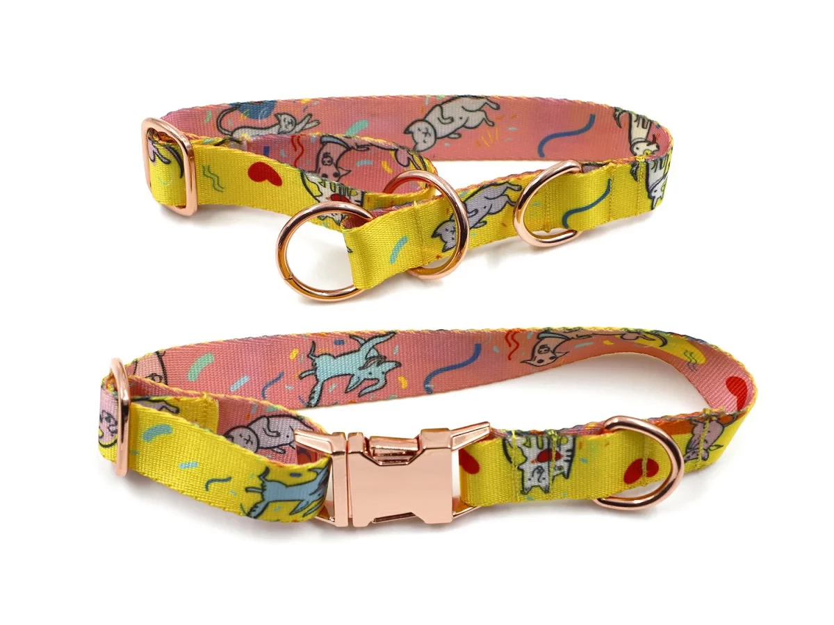 Hundehalsband mit Aufdruck